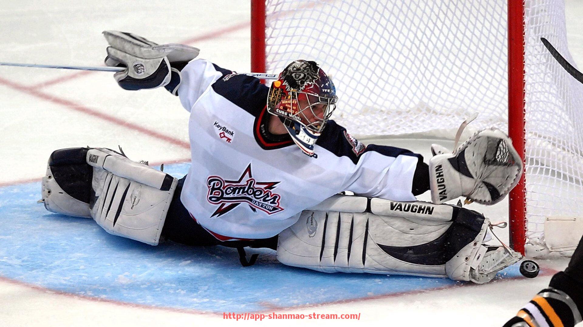 山猫直播官网-世俱杯球鞋品牌在用户评价中出现的高频热点词分析