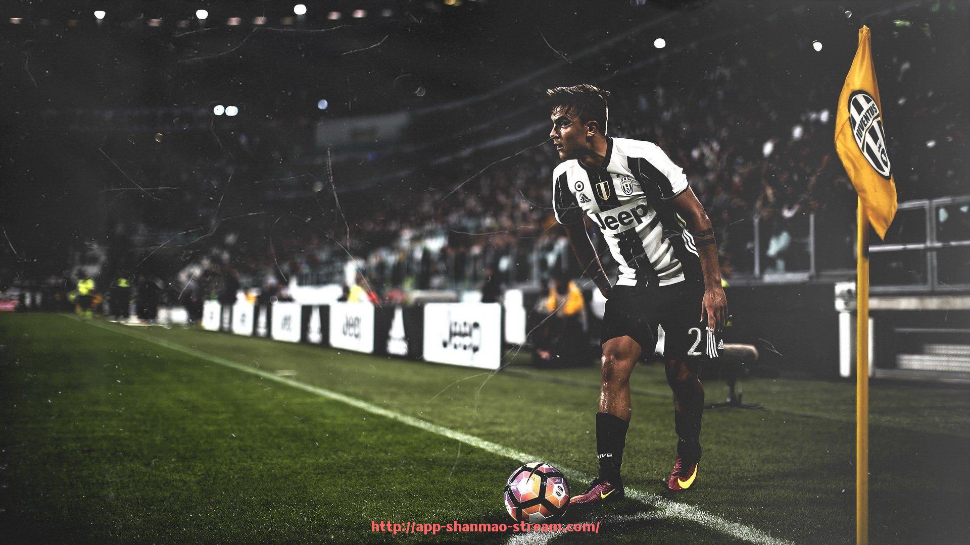 山猫直播官网-室外健身器材应用案例及社区健身推广策略