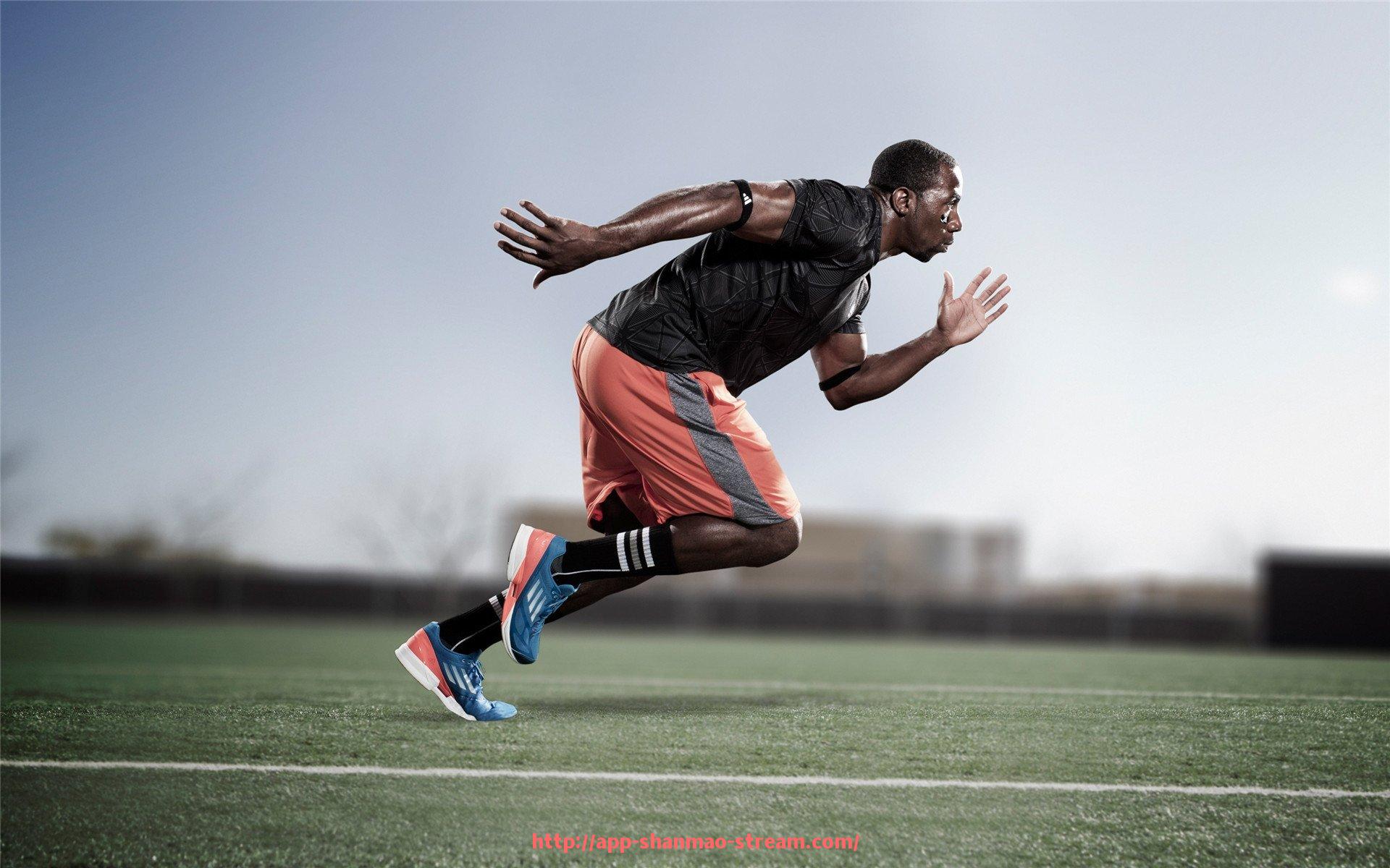 山猫直播官网-郑州专业健身器材销售公司的全面介绍与市场分析